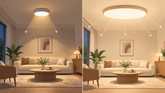 Does a Larger Light-Emitting Surface Always Mean More Comfortable Lighting?