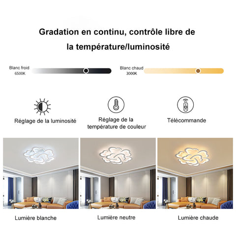 Schéma des effets d'éclairage au plafond