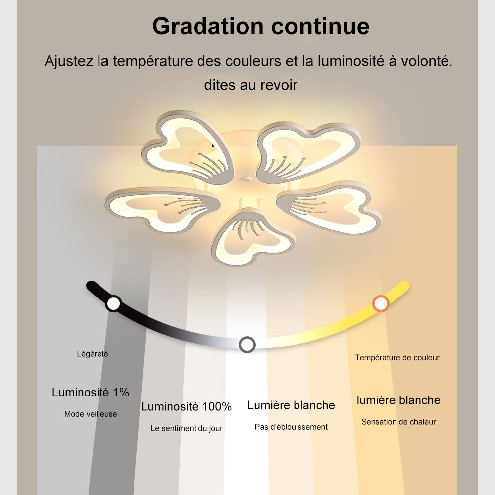 Schéma des effets d'éclairage au plafond