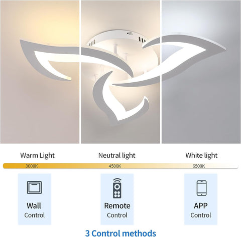 Diagramme de l'effet lumineux du plafonnier
